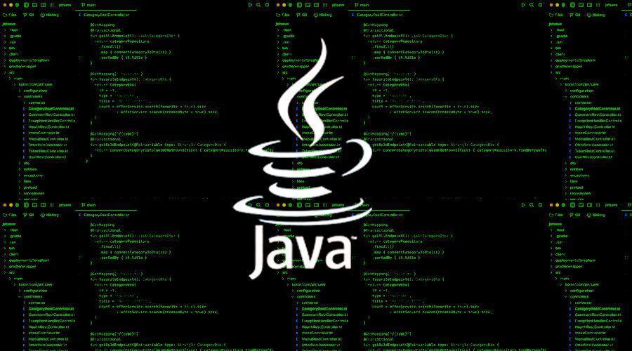 Java Programming Language